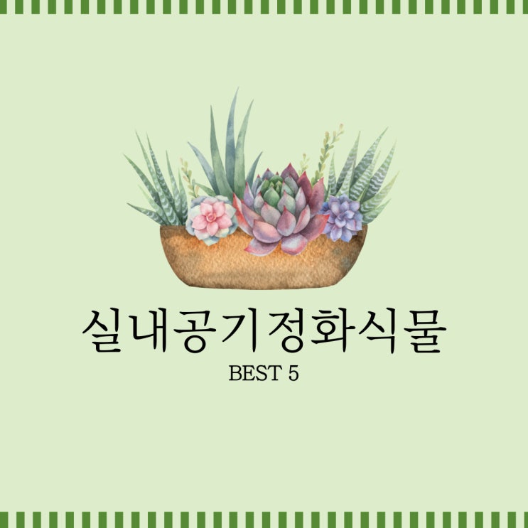  실내공기정화식물 BEST 5