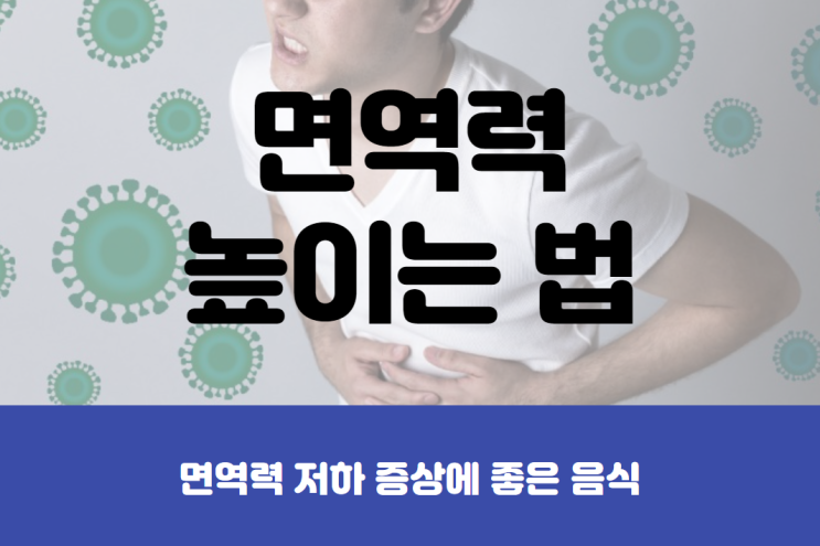  면역력 저하 증상에 좋은 음식, 면역력 높이는 방법