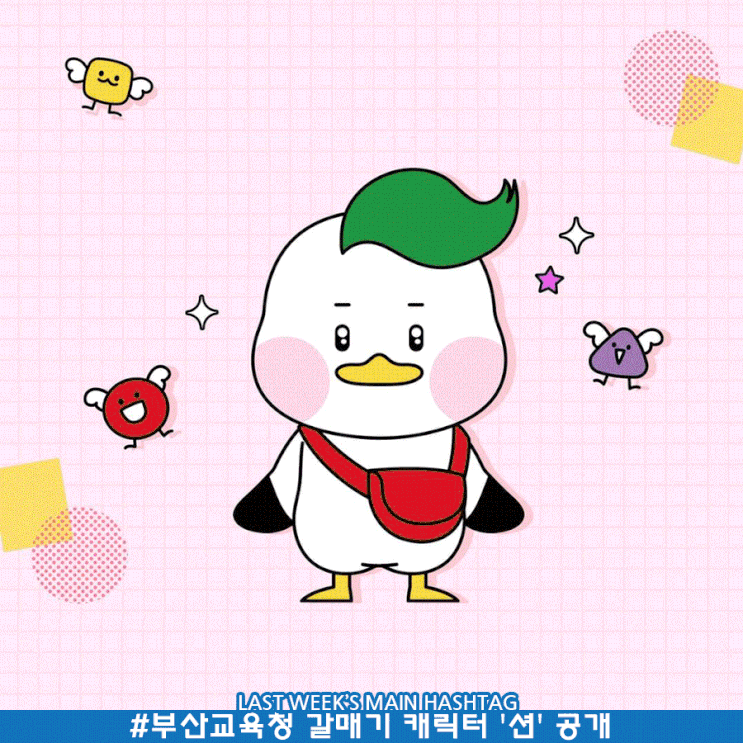 5월 1주차 두런 캐릭터 뉴스레터-부산교육청 갈매기 캐릭터 '션' 공개 外 5월 1주차 두런 캐릭터 뉴스레터-부산교육청 갈매기 캐릭터 '션' 공개 外