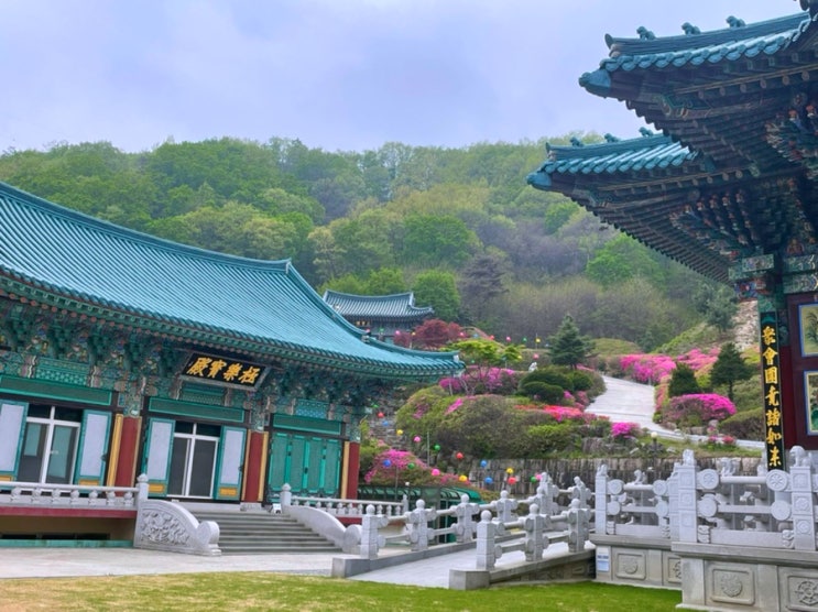  용인 법륜사 체험형 템플스테이 후기 준비물 가는방법 일정 환불