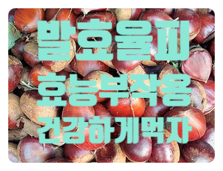  발효율피 효능 율피식초 율피팩  만드는방법 부작용 먹는방법