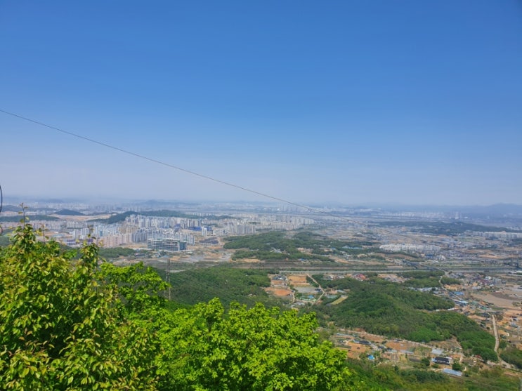  절약해야지.. (feat.바디프랜드 S급리퍼)