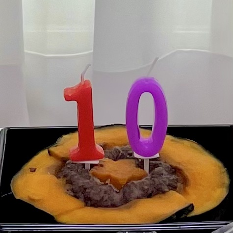  [도그쿡] 도그쿡케이크 버디의 10살 생일파티