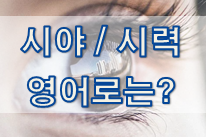  (영어 유의어) '시야 / 시력' 의 여러 표현들