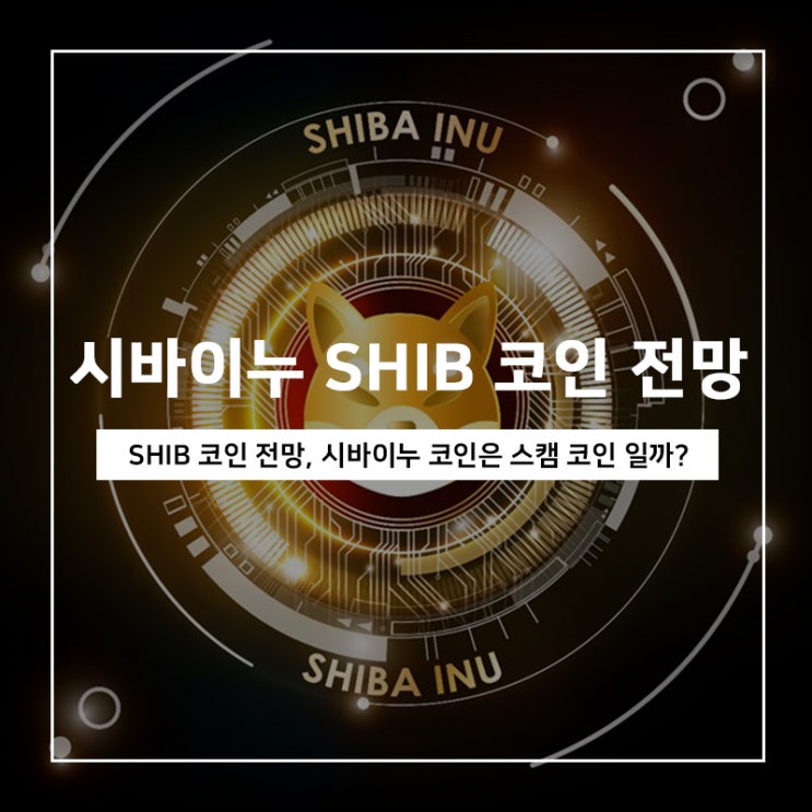 시바이누 코인 전망, 시바이누는 스캠 코인일까? 시바이누 코인 전망, 시바이누는 스캠 코인일까?