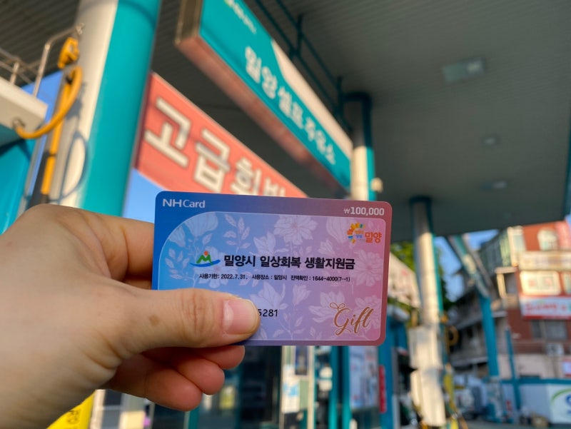 사진 5