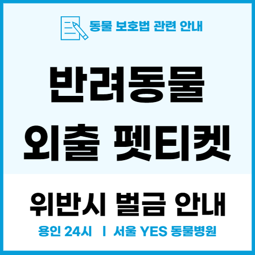  반려동물 외출시 펫티켓, 동물보호법 위반시 최대 300만원 벌금 있어요 ㅜㅜ
