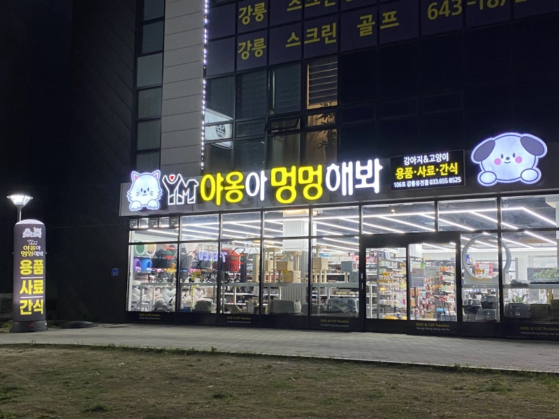 사진 9