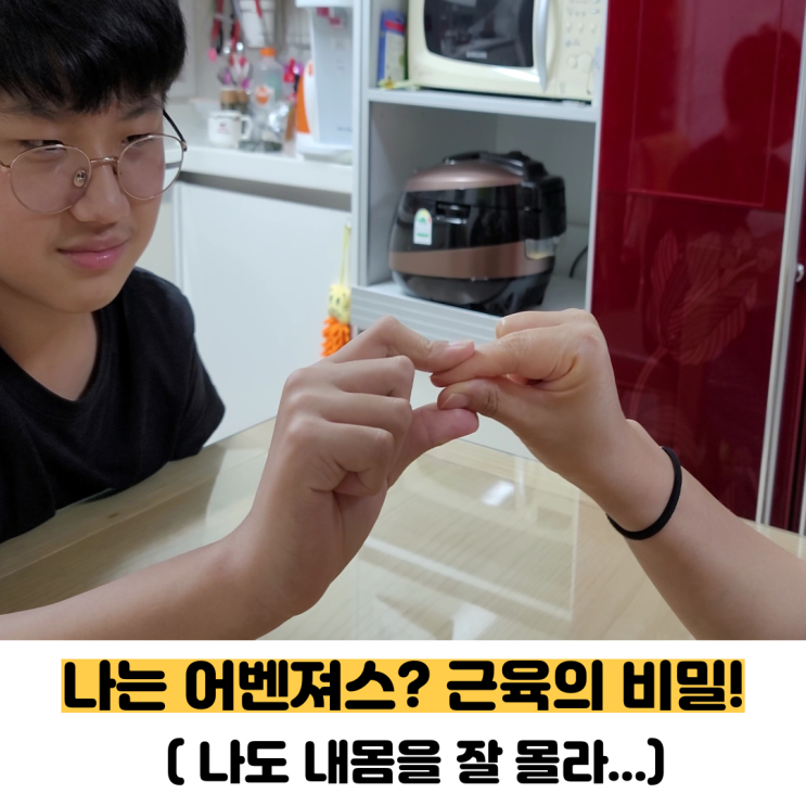  재밌는 신체놀이로 어벤져스가 되어보자(몸 근육의 신비)