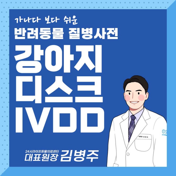 대구강아지수술전문동물병원 : 강아지 디스크 (IVDD), 강아지 디스크 수술 꼭 해야하나요?