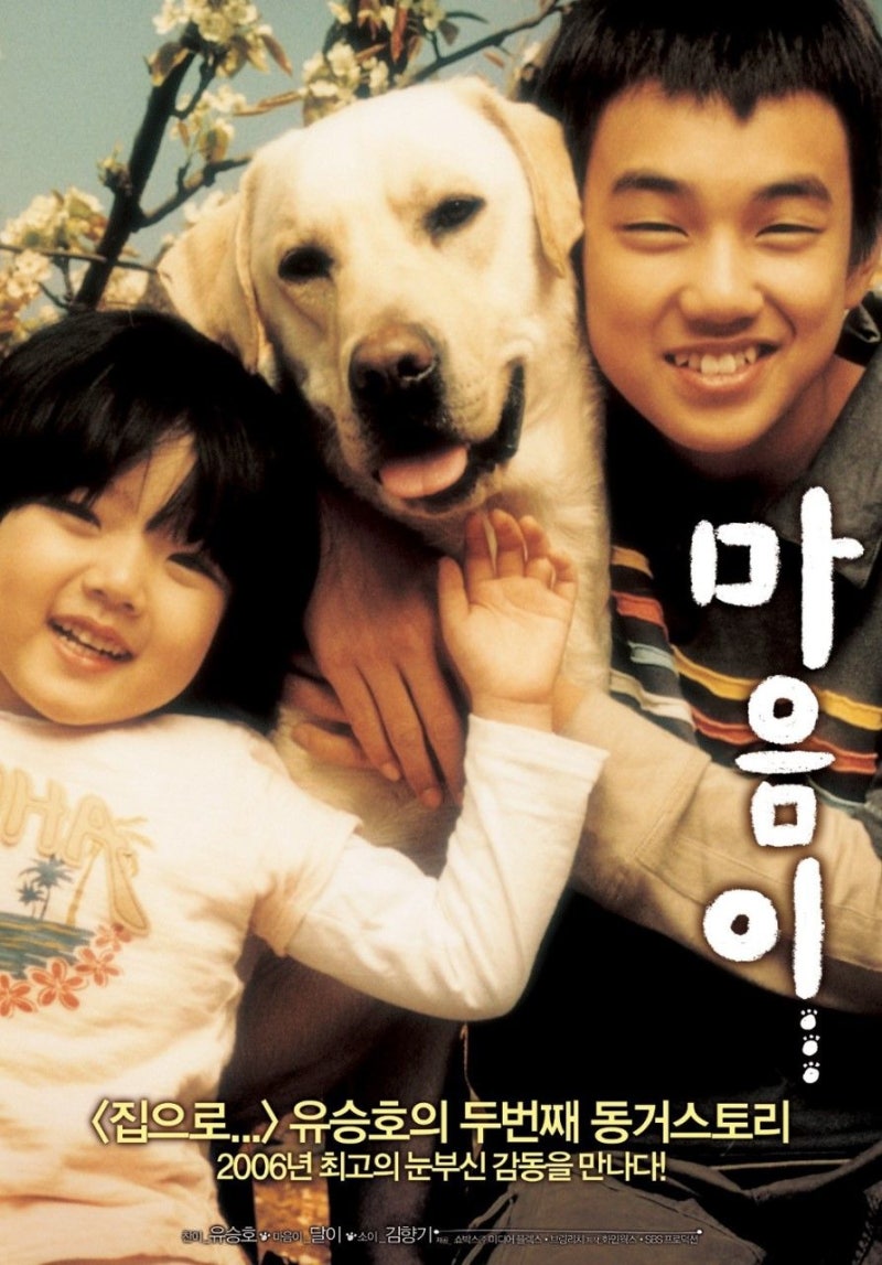 지금까지 본 파양 제외 동물영화 50선 : 네이버 블로그, image size:800x1147