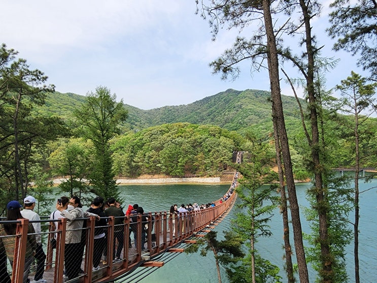  파주 갈만한 곳, 맛집 - 마장호수 출렁다리 / 뷰 맛집 봉평 메밀 막국수 / 주차장 위치, 요금