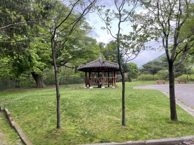  오랜만의 데이트 계룡 ‘괴목정’