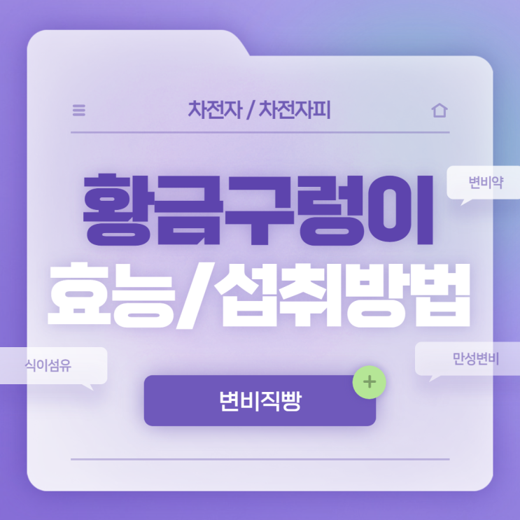  변비직빵 : 황금구렁이 효능 및 섭취방법 【#차전자피 #변비약 #차전자 #식이섬유 #만성변비】