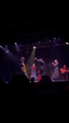 바르셀로나에서 플라멩고 공연보기(Flamenco Barcelona SL)