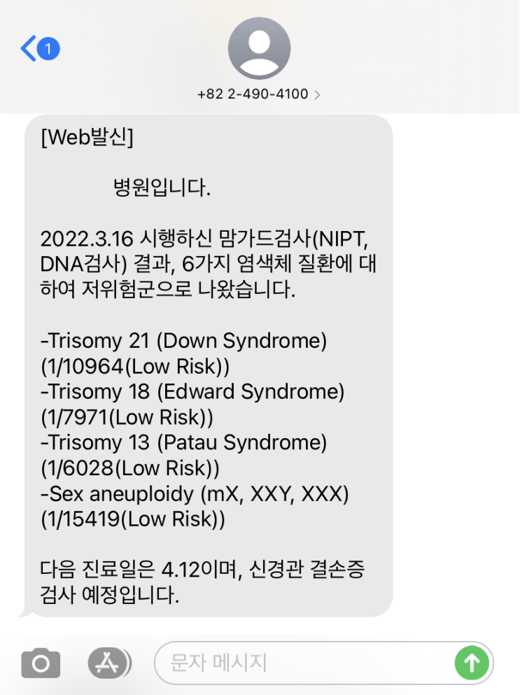  [임신 12주] 니프티 검사 결과 후기 (+맘가드 결과지)