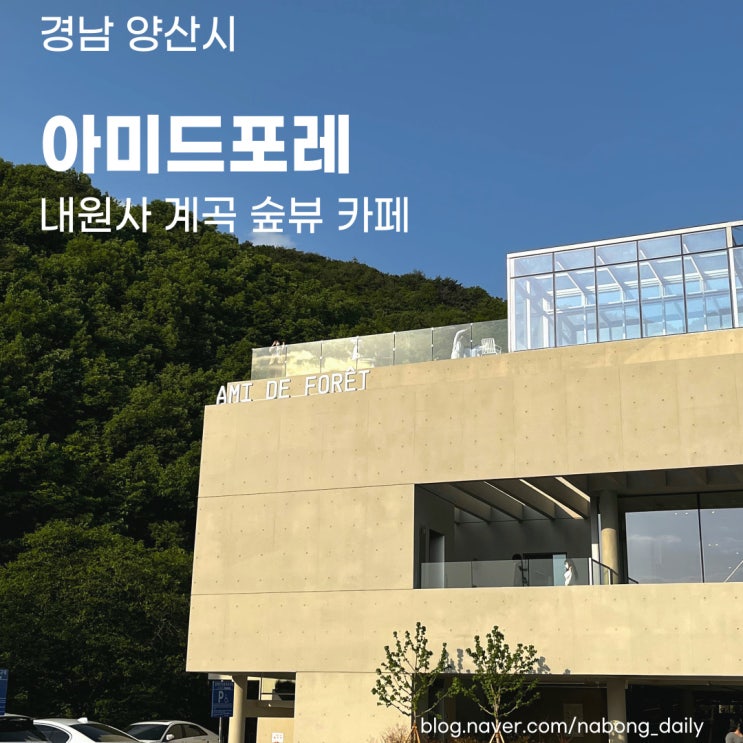  통도사 카페 | 내원사 계곡 뷰가 멋진 아미드포레 | 양산 커피숍