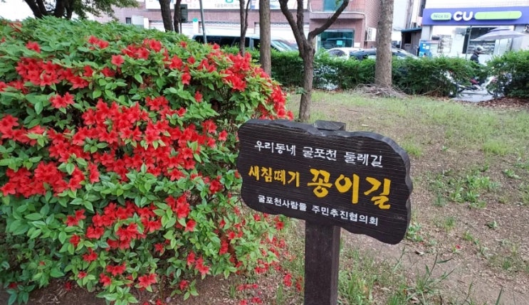  [인천/부평] 굴포천 둘레길 산책