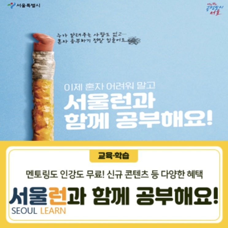 학습멘토링 = <b>서울런</b> 멘토링, 서울시 온라인게임 플랫폼