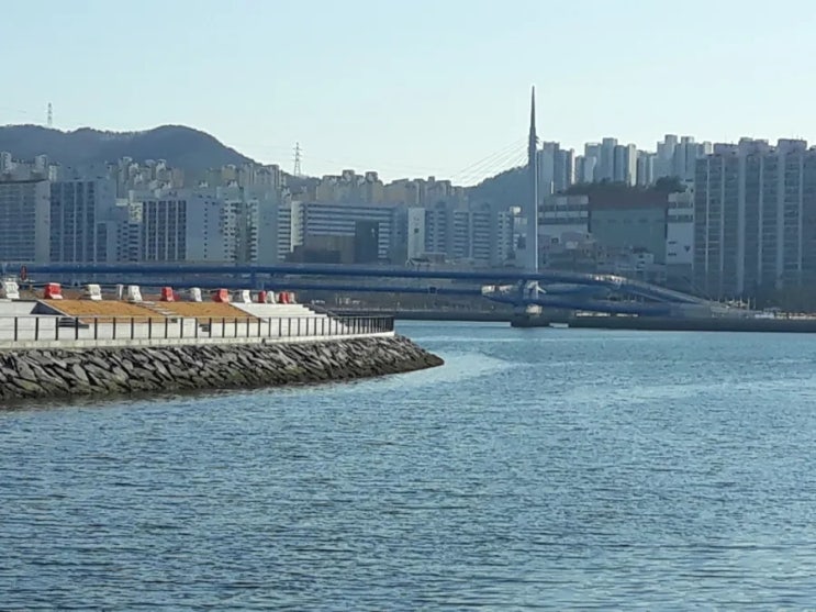  마산만 바다 호수