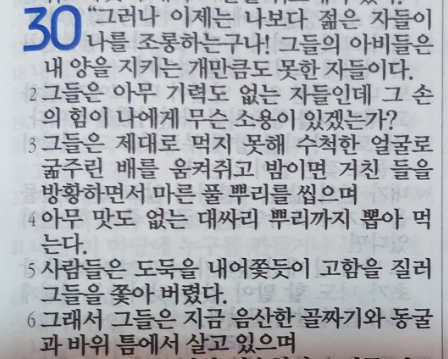욥의 시련(욥기) 30장 욥의 시련(욥기) 30장