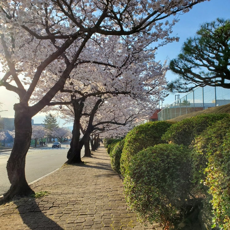  낙서 65
