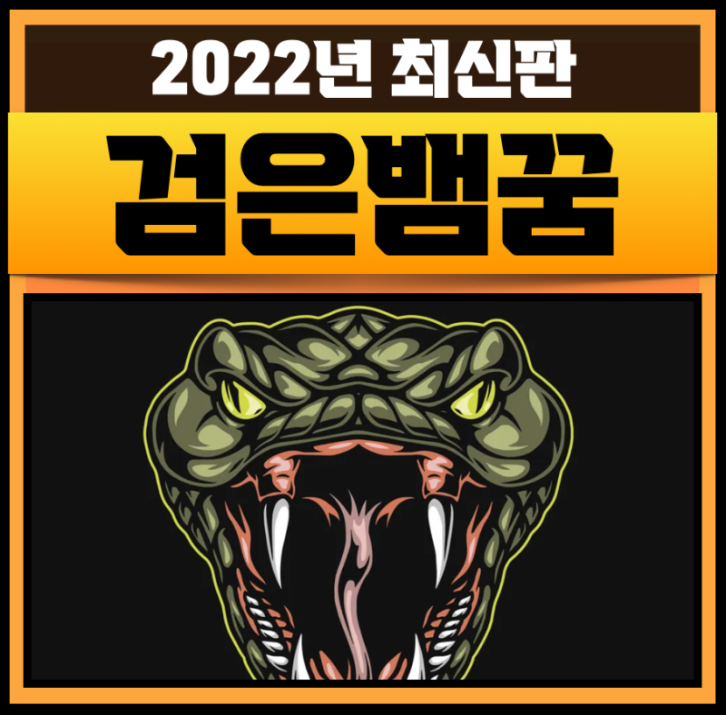 검은뱀 꿈 태몽 나오는꿈 초록뱀꿈 노란뱀꿈 엄청큰뱀꿈 해몽