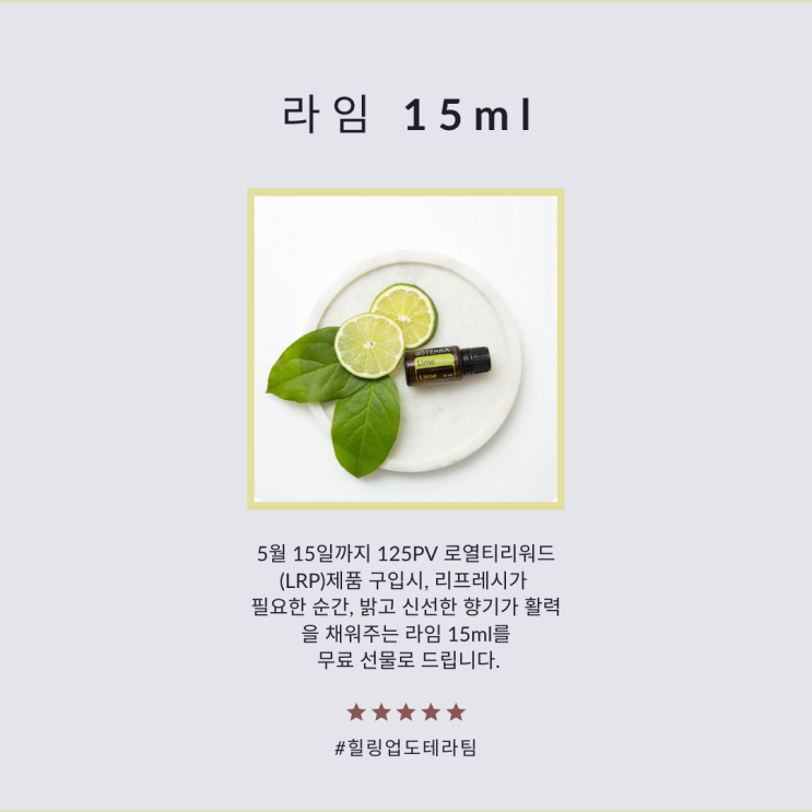  도테라5월 계절의 여왕답게 풍성한 도테라 프로모션 "이달의 상품 & 10% 할인제품"