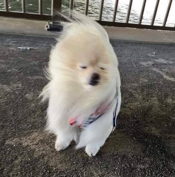 바람