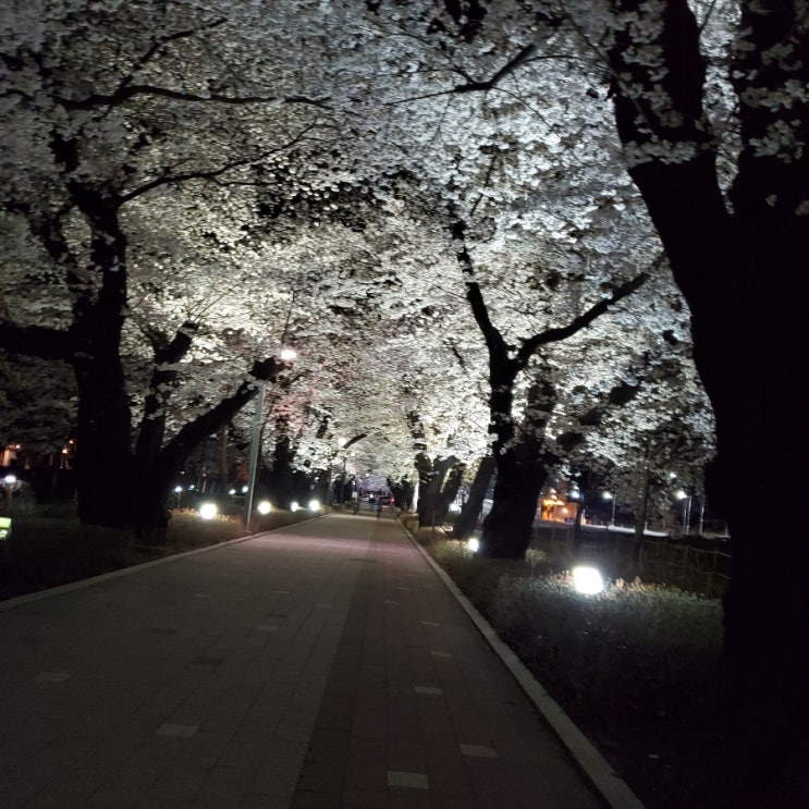  낙서 69