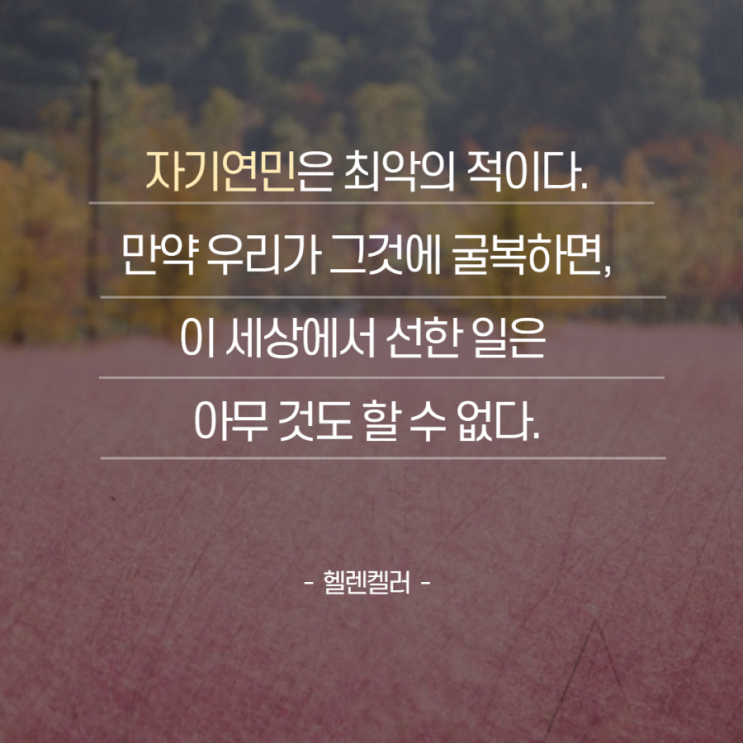  프로가 된다는 것은 내 결핍을 채워야한다는 것. (feat.5월 514챌린지 3일차)