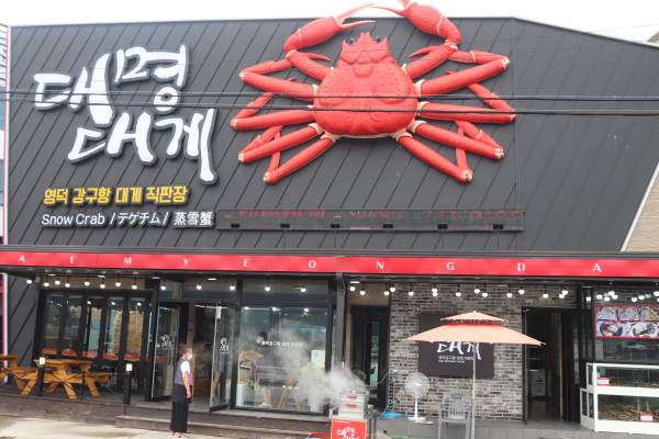  영덕 대게 맛집 추천 [대명대게]