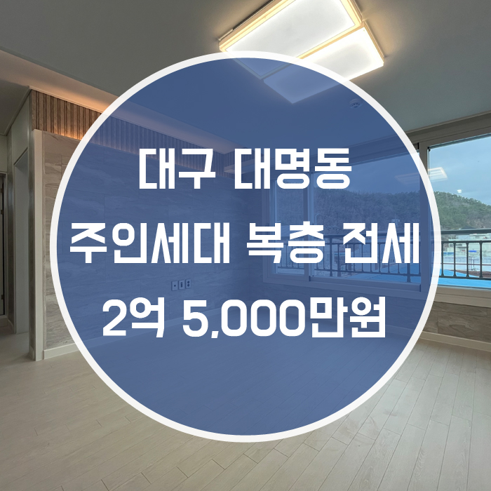 (계약완료)대구 남구 대명동 / 주인세대 전세 복층 단독옥상 신축