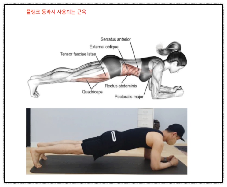 나만의 실천 100일 플랭크운동 잘하려면 나만의 실천 100일 플랭크운동 잘하려면