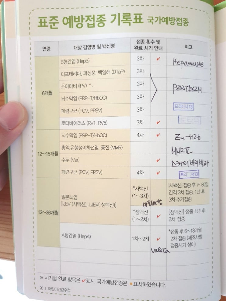  돌아기 예방접종 순서 및 일본뇌염 생백신 사백신 접종열 총정리
