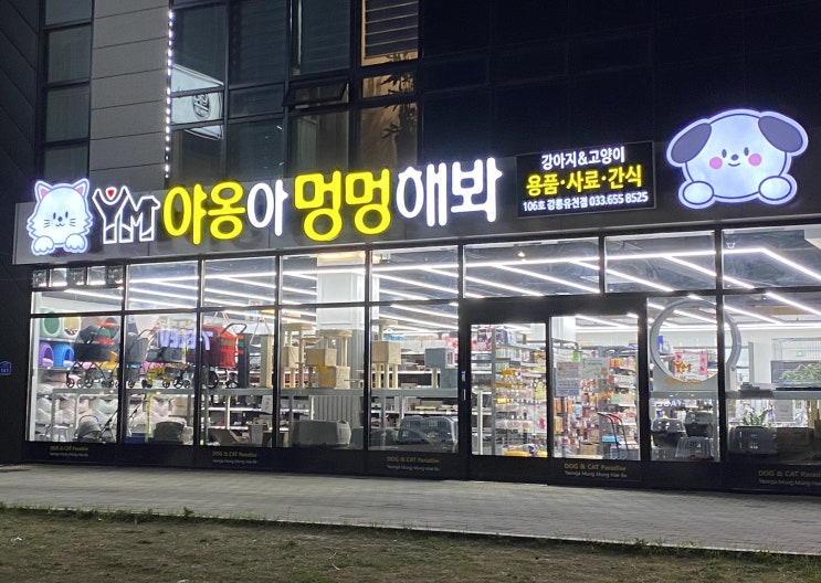  강릉 야옹아 멍멍해봐 유천에 있는 반려동물 전문 용품점 :)