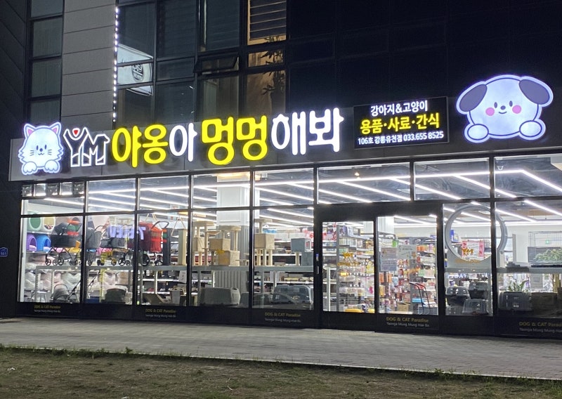 사진 10