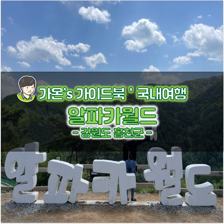 홍천 여행 강원도 동물원 가볼만한곳 알파카월드