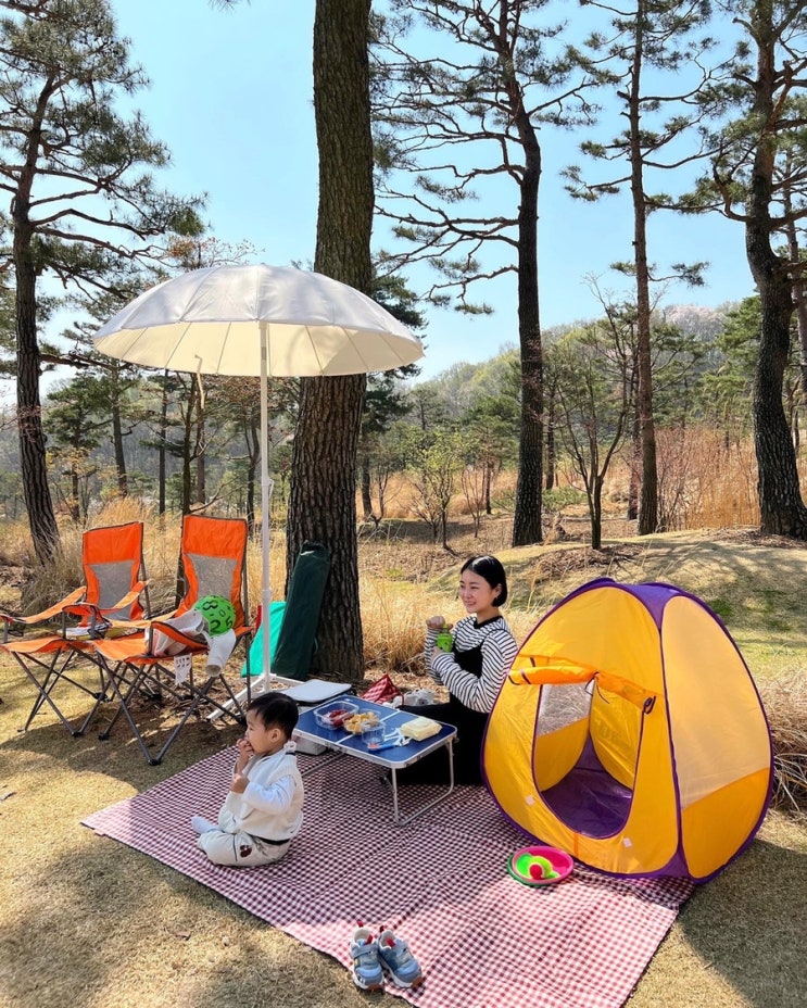  에버랜드 포레스트캠프 - 프라이빗 피크닉 패키지(런치박스&오후권) 아기랑 야외 캠핑 소풍 후기