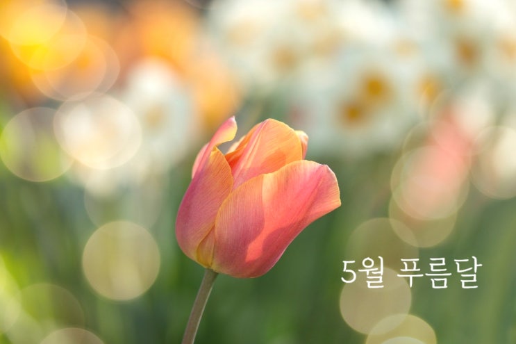  안녕, 푸름달