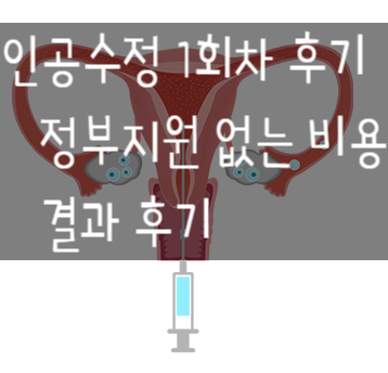  6. 인공수정 1차 결과 - 정부 지원 없이 지출한 비용, 후기 (2)