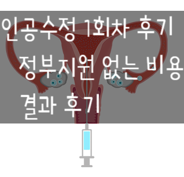 6. 인공수정 1차 결과 - 정부 지원 없이 지출한 비용, 후기 (2)