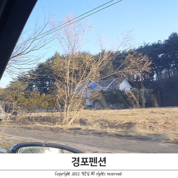 경포펜션 내돈내산 솔직후기 경포펜션 내돈내산 솔직후기