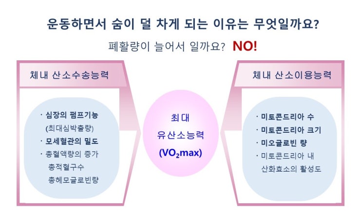  운동시 숨차는 이유, 훈련 후 숨이 덜 차는 이유