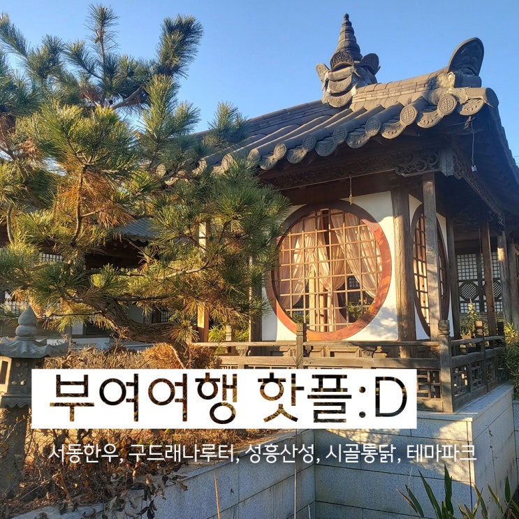  부여 잘알 언니가 추천하는 맛집과 핫플(충남 부여)