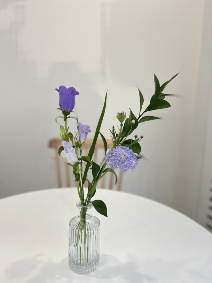  연휴 시작