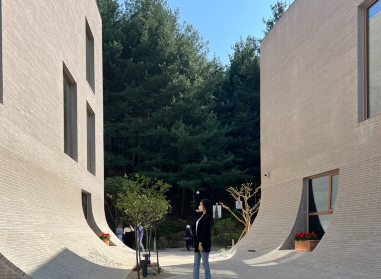  대전 유성구 신상카페 카페태리 추천 디저트는 봉이호떡