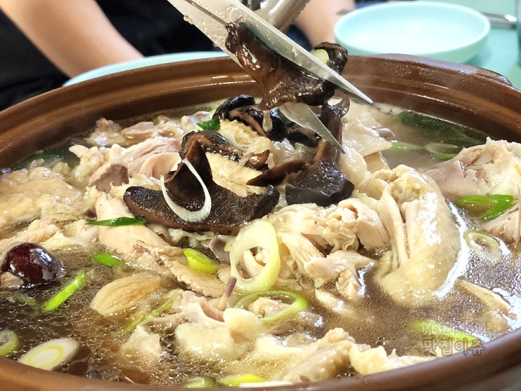 30년 전통의 전민동 현지인 맛집 백숙 닭도리탕이 맛있는 아리고개식당