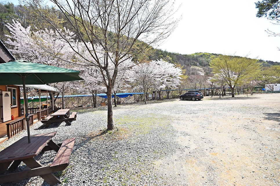 용현계곡황토방펜션 사진 4