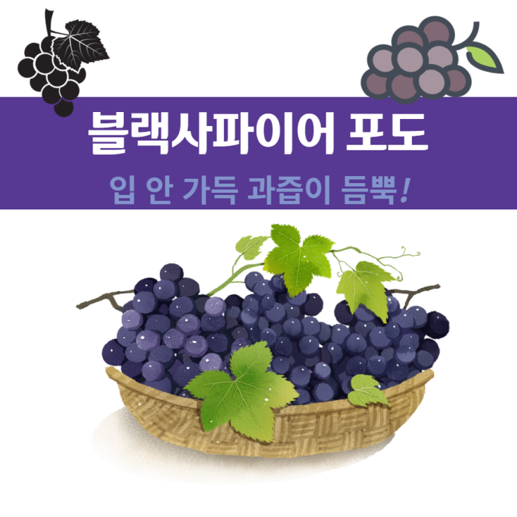 블랙사파이어 포도 효능 및 세척법 가지포도 칼로리 블랙사파이어 포도 효능 및 세척법 가지포도 칼로리